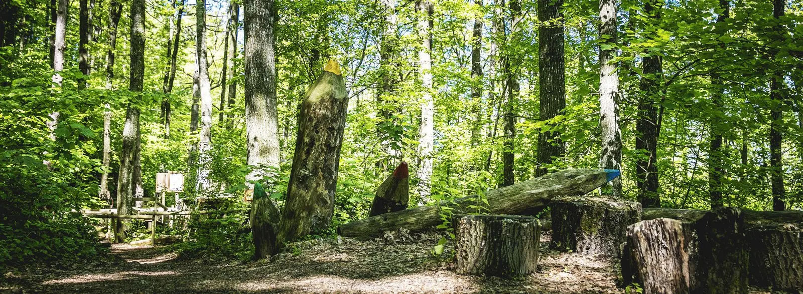 Des troncs sculptés en grands crayons de couleur le long d'un sentier dans la forêt de Skypark