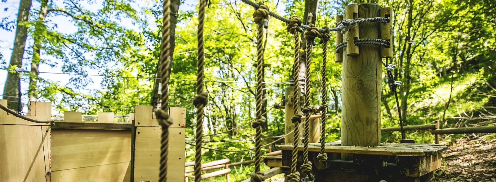 Des cordes nouées, des câbles d'acier et un poteau en bois avec la plateforme de départ d'un parcours de Skypark en forêt