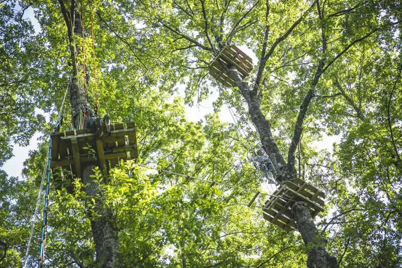Piattaforme di legno e cavi del parco avventura Skypark fra le chiome degli alberi, con una persona in tirolese