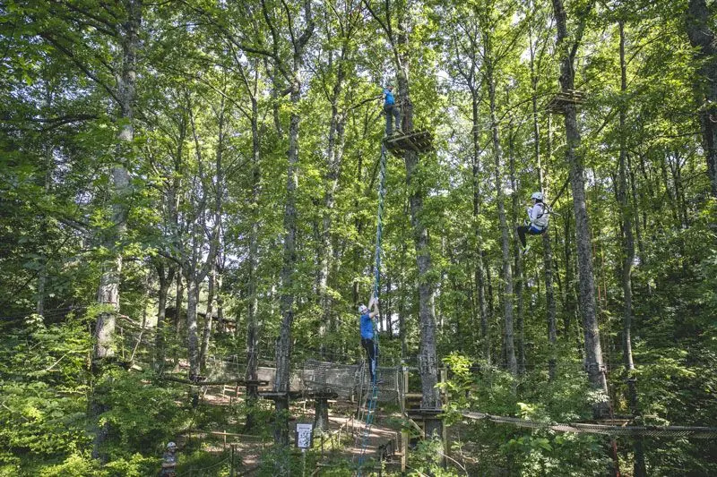 Des plateformes en bois sur les troncs de la forêt de Skypark, reliées par des cordes et des filets, avec des personnes casquées sur les parcours