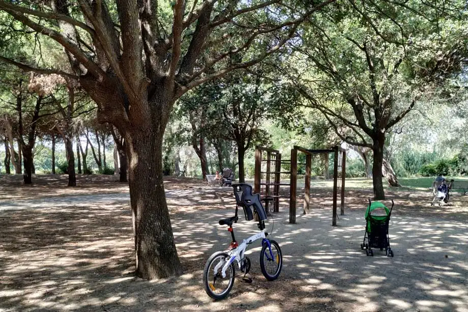 An avenue shaded by pines in the park on Misano Adriatico seafront, with a child's bicycle and wooden play equipment