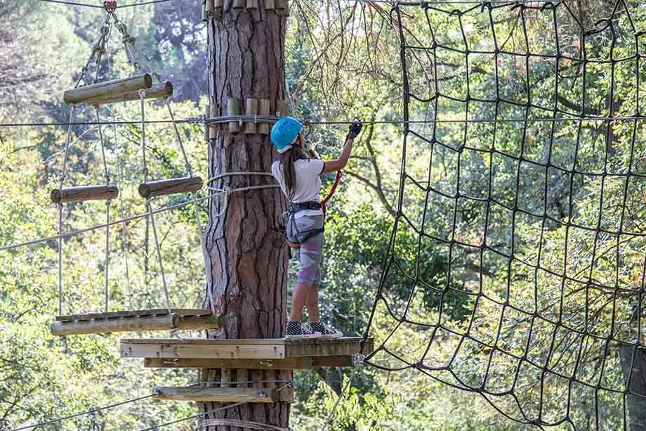 A girl wearing a helmet and harness on a platform around a pine tree, between a net and suspended logs