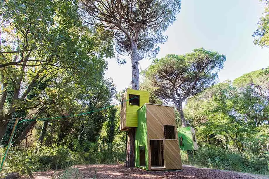 Green and yellow wooden houses built around a pine trunk in the park's play area