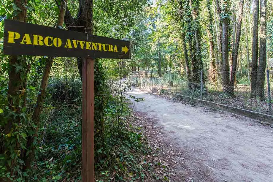 The wooden “Parco avventura” sign beside the dirt path through the pinewood leading to CerviAvventura