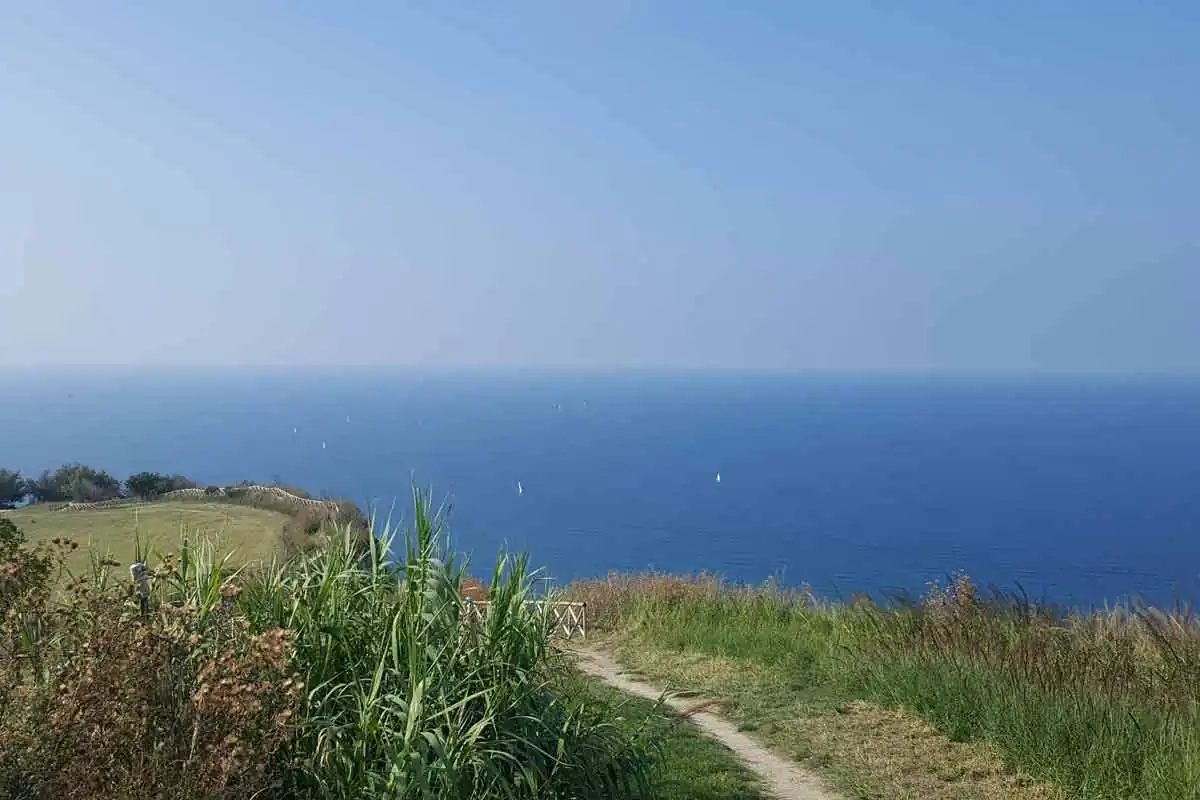 Un sentiero di terra battuta fra l'erba alta in cima al Monte San Bartolo, con il mare aperto e alcune vele all'orizzonte