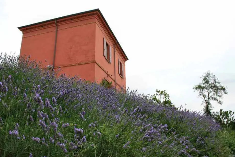 La Casa Rossa di Alfredo Panzini on a lavender lawn