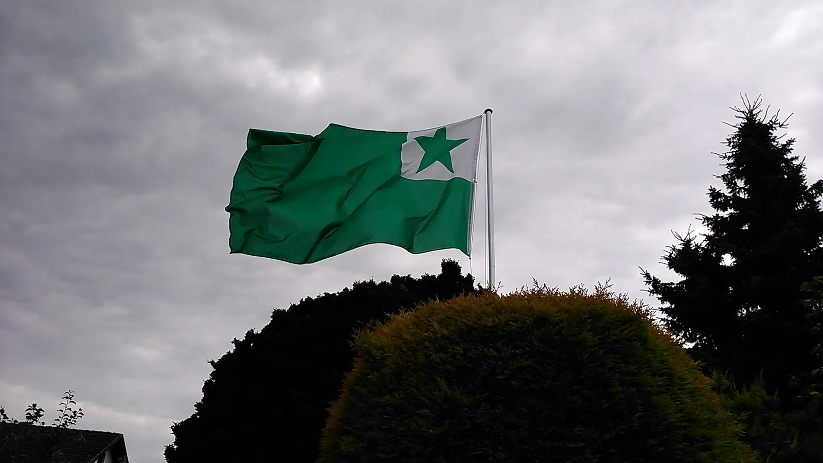 The flag of Esperanto, the republic's official language: green, with a star in a white square, blowing in the wind
