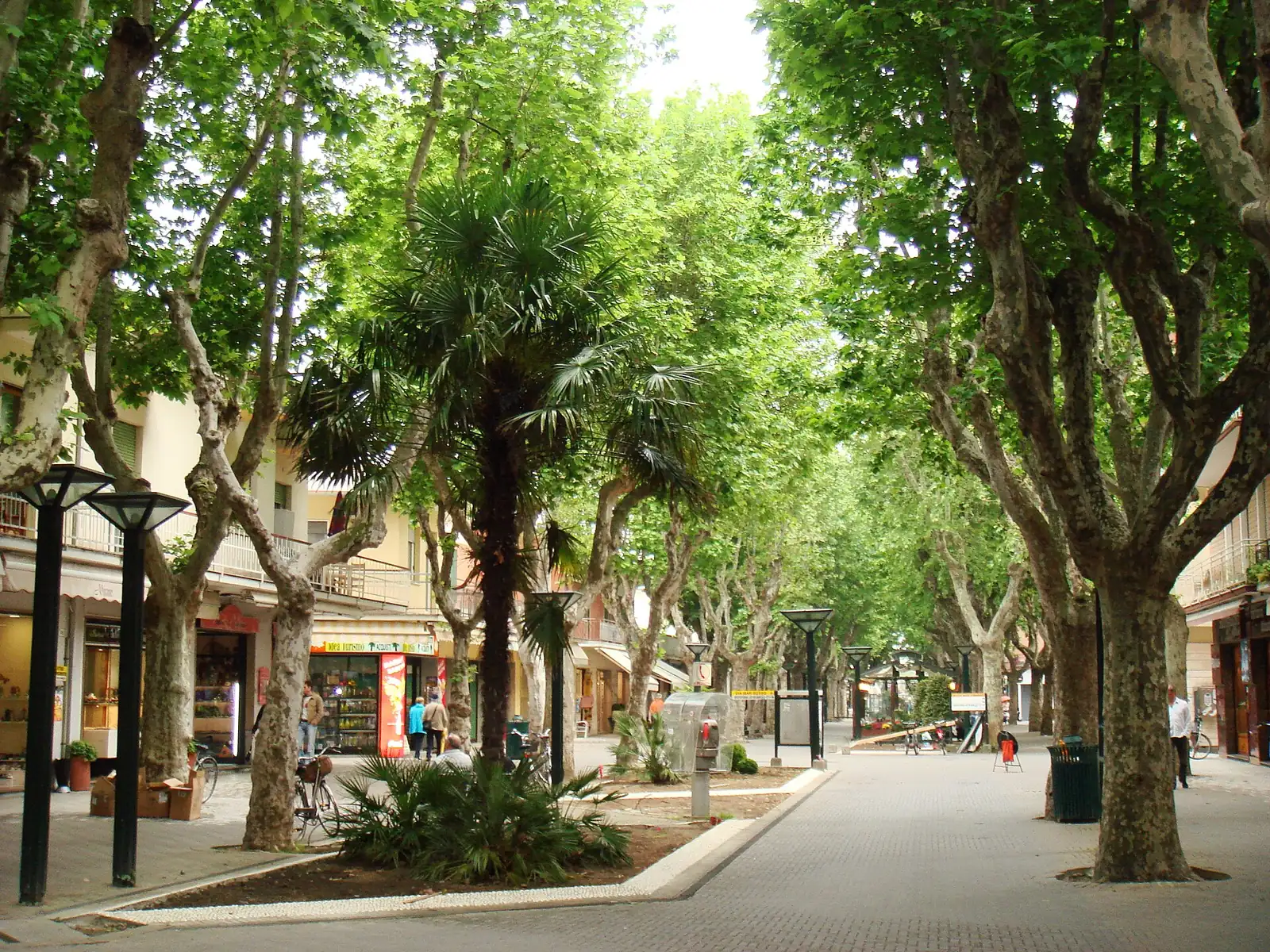 A tree-lined pedestrian avenue with plane trees and a palm, streetlamps, shops on the left and brick paving