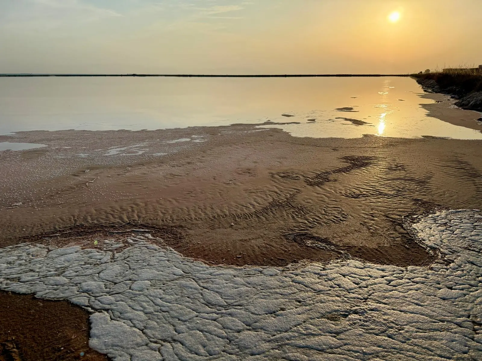 A salt crust exposed on the bottom of a Cervia salt pan basin, with the low sun reflected in the water