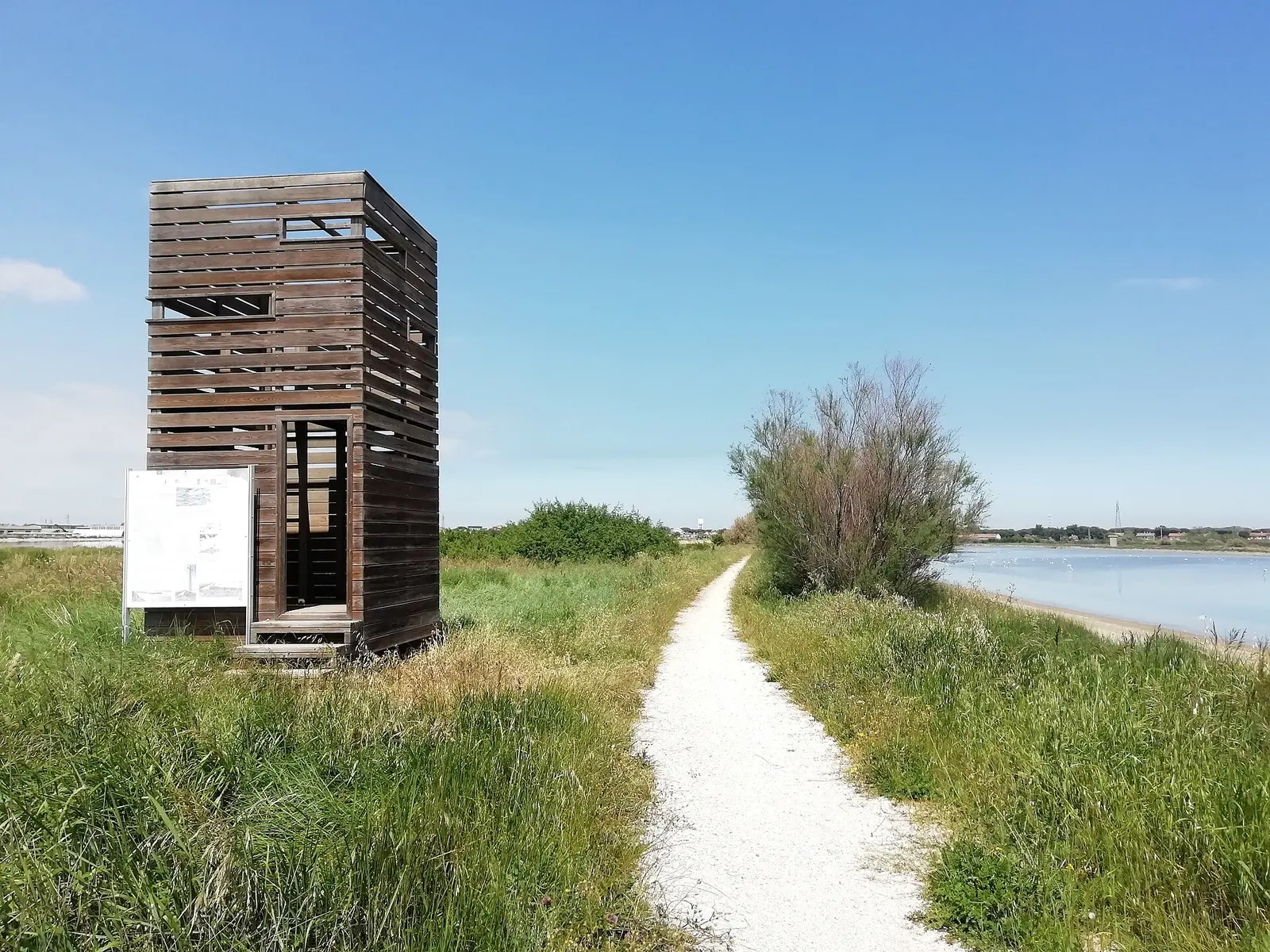A white path through the grass leads to a wooden observation tower at the edge of the Cervia salt pan