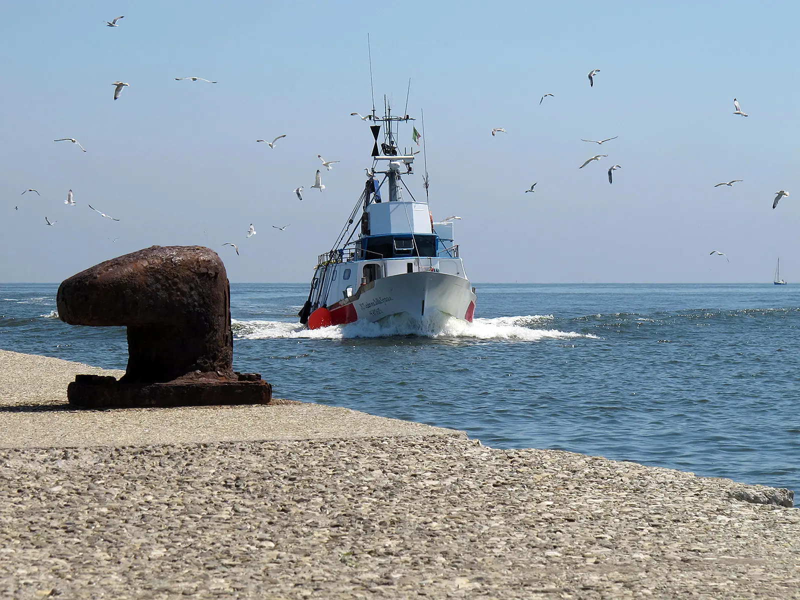 Ein Fischerboot läuft auf ruhigem Meer in den Hafen ein, von vielen Möwen begleitet, neben einem großen rostigen Poller
