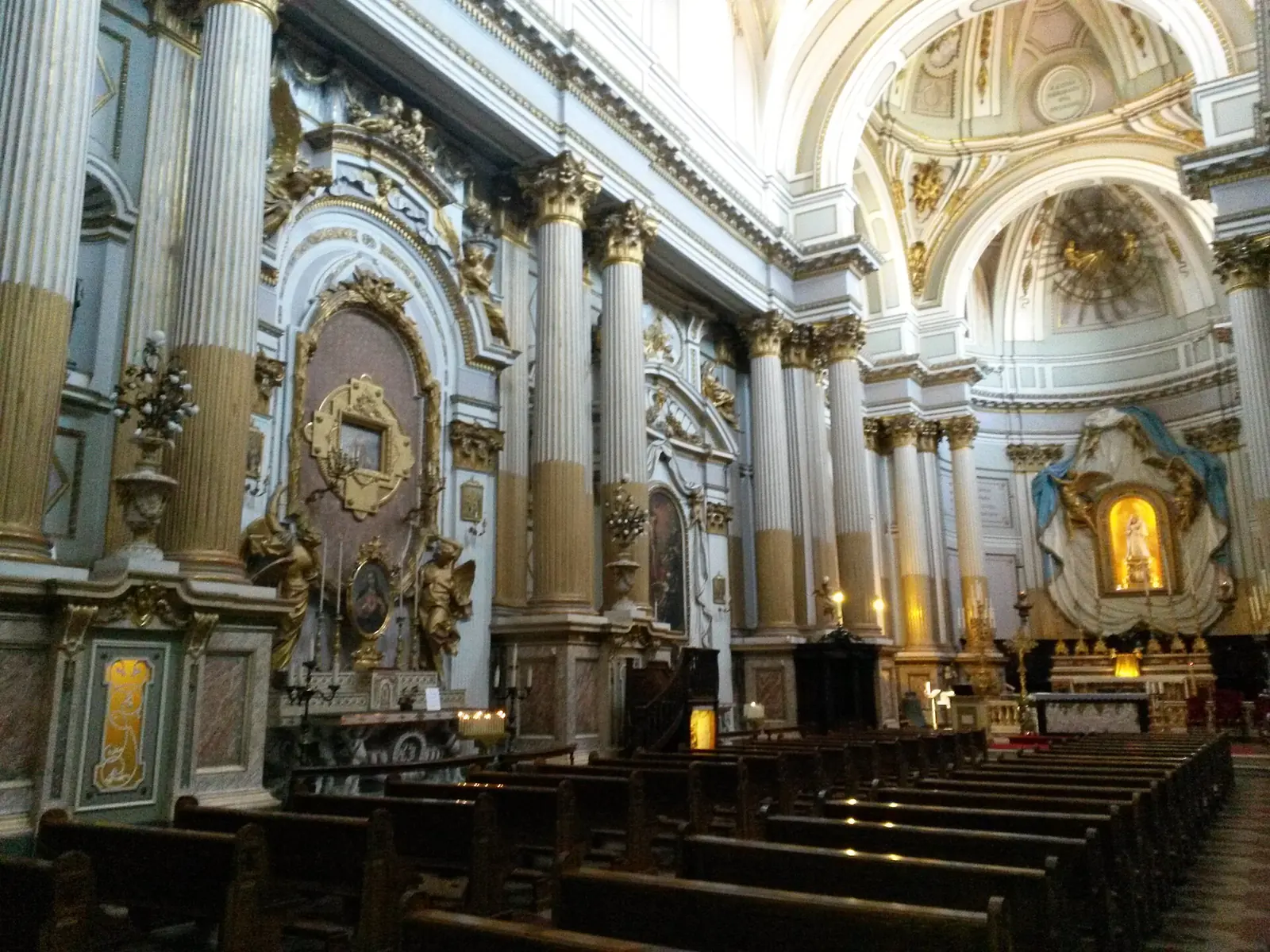 La navata della chiesa di Santa Maria dei Servi a Rimini, con le colonne dalla base dorata, gli altari laterali e la cupola
