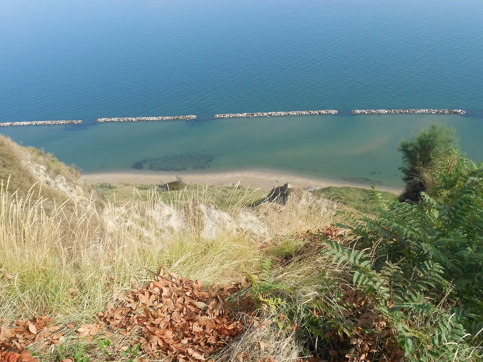 La spiaggia di Fiorenzuola di Focara vista dall'alto, con la sabbia chiara sotto la falesia e le scogliere al largo