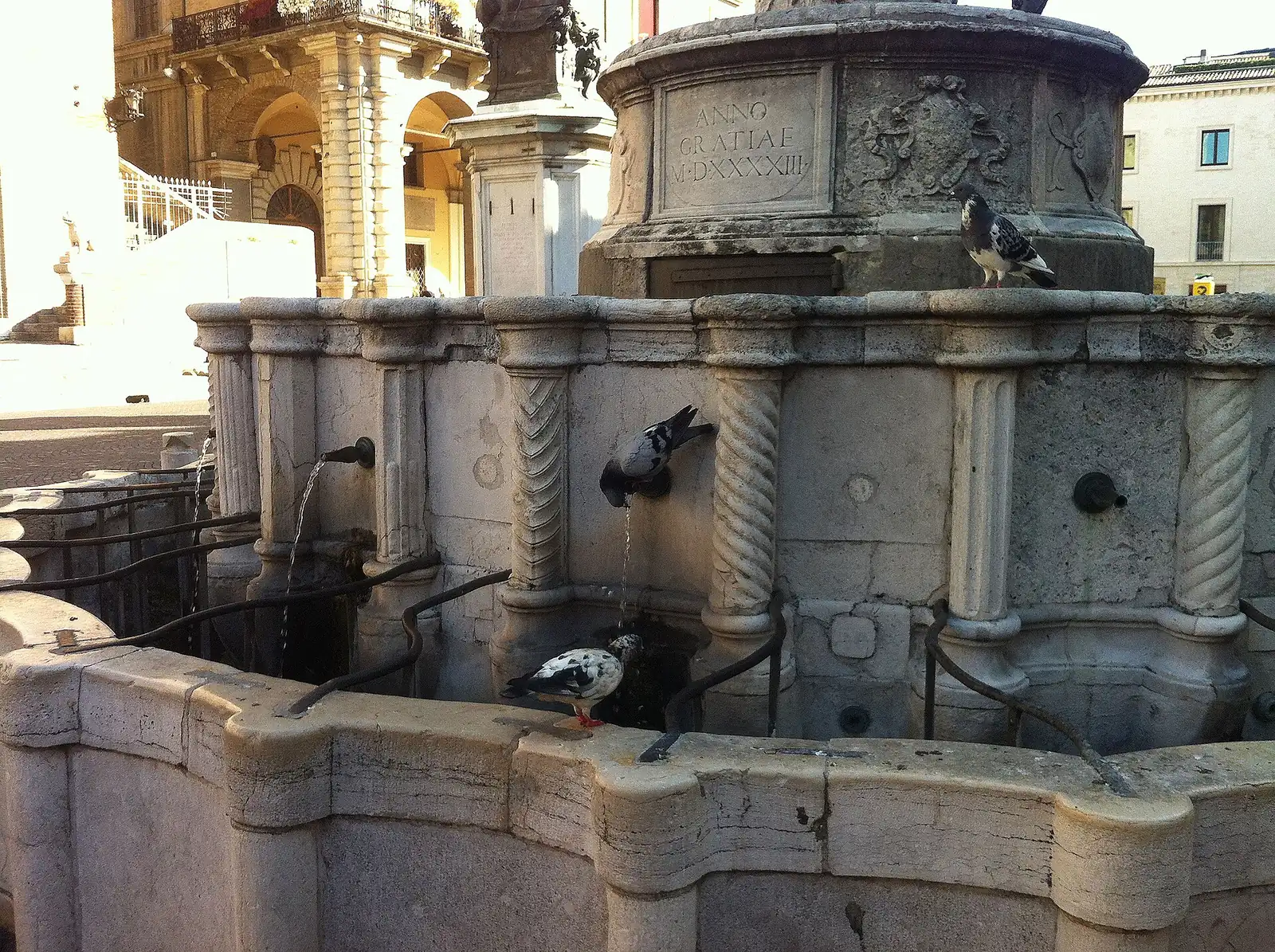 Water spouts and twisted columns of Fontana della Pigna in Rimini, with the 1543 inscription and some pigeons
