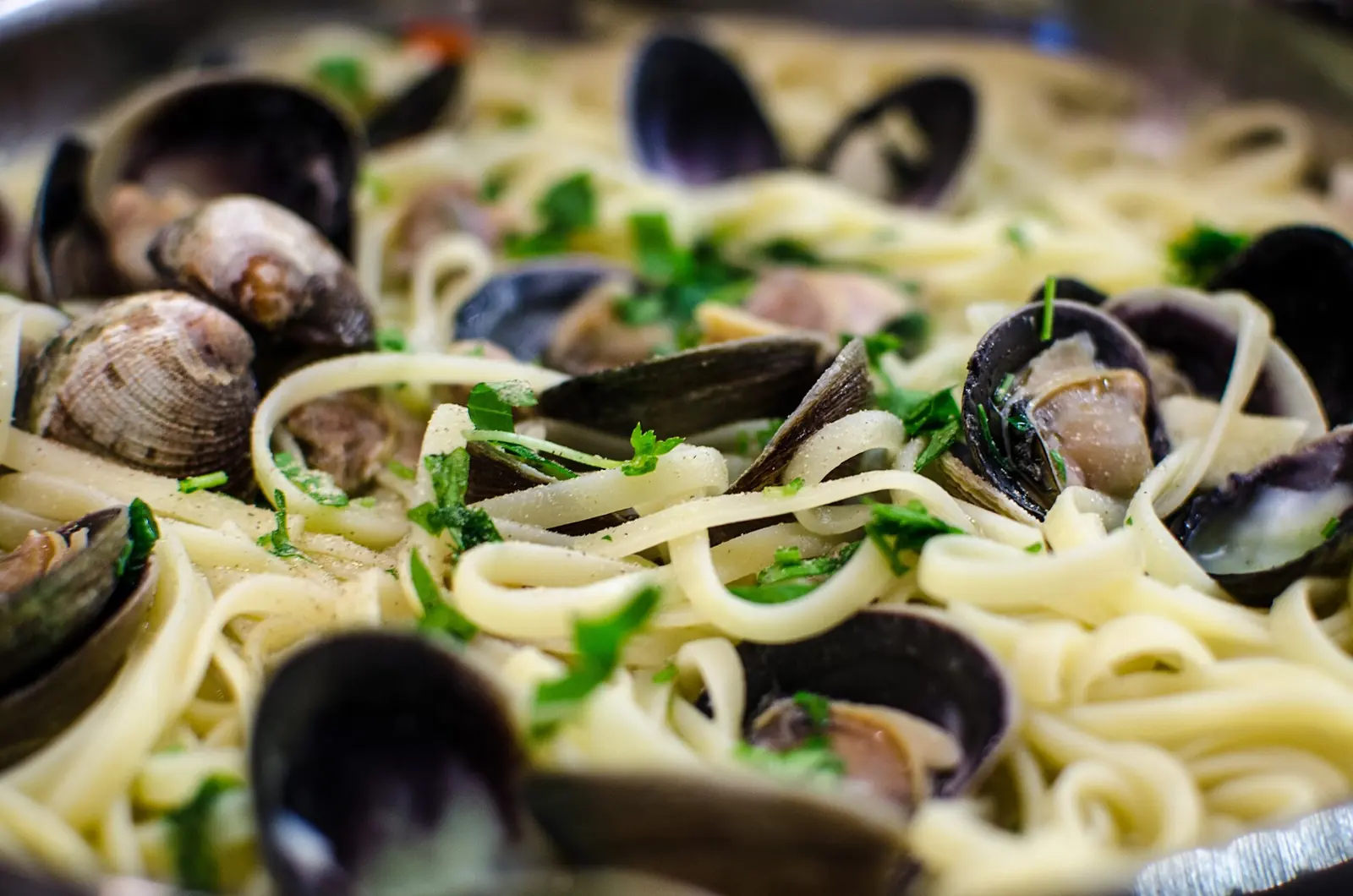 Ein Teller Linguine mit Venusmuscheln und Petersilie in Nahaufnahme mit deutlich sichtbaren dunklen Schalen