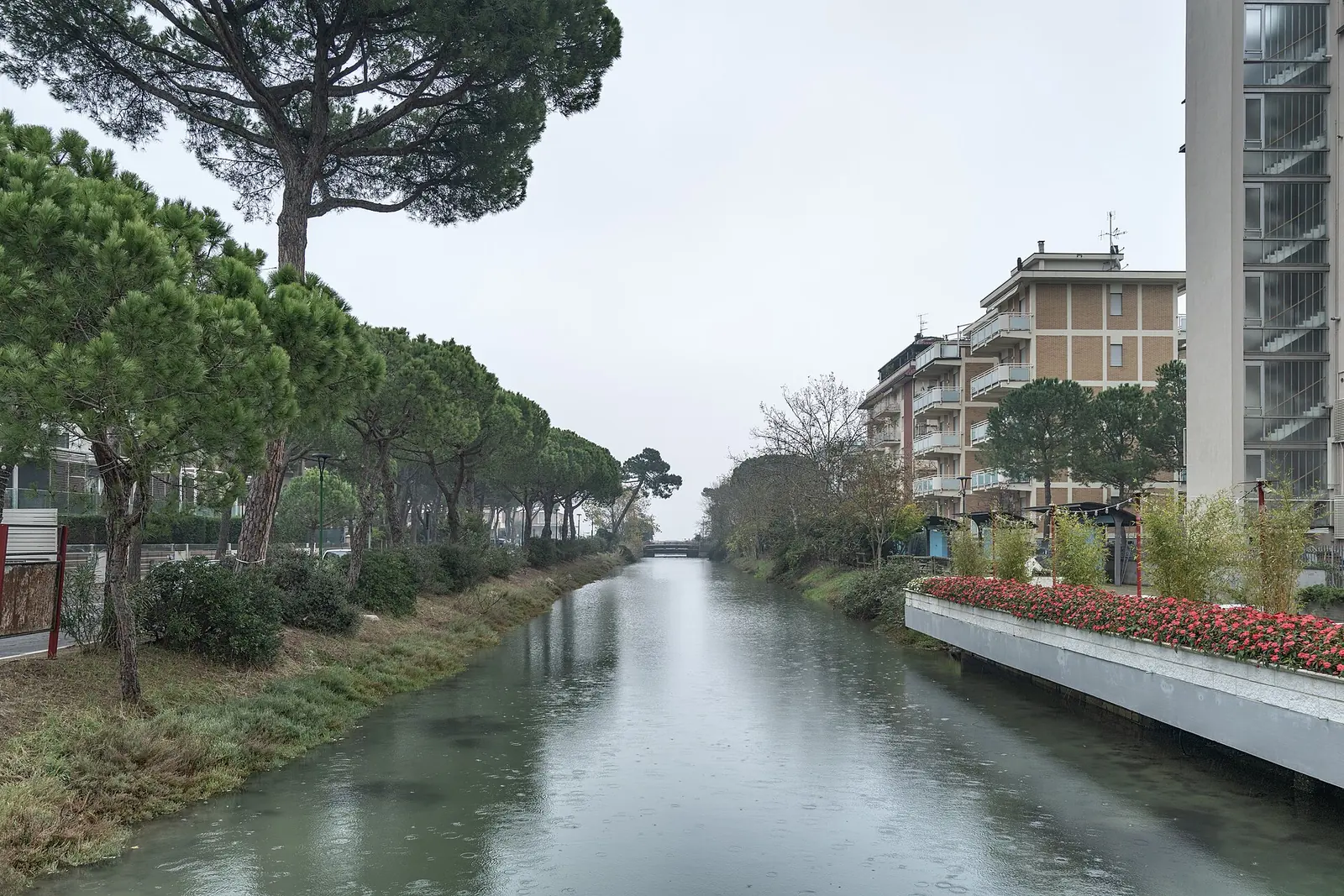 Il Canalino di Milano Marittima fra una fila di pini e i palazzi, con una lunga fioriera di fiori rossi sulla sponda