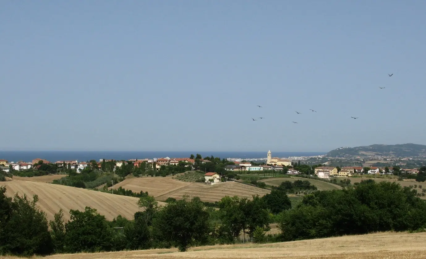 Misano Monte village on cultivated hills, with the church bell tower and the Adriatic Sea on the horizon