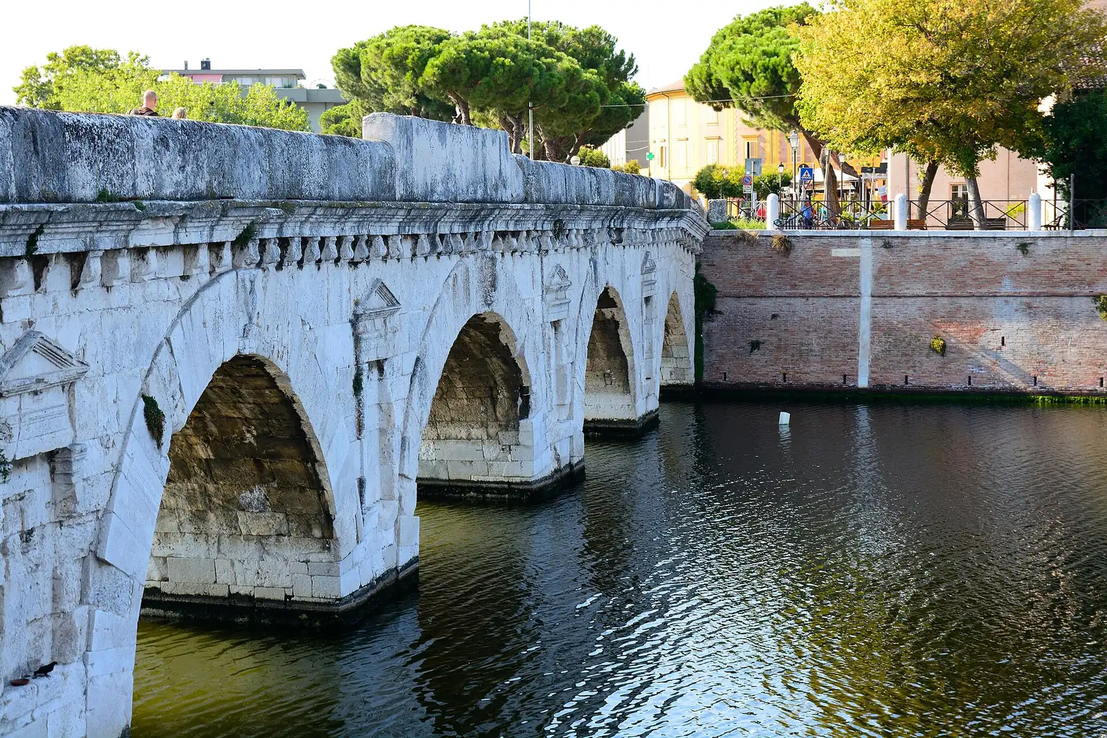 Les arches en pierre d'Istria du Ponte di Tiberio à Rimini vues de près, avec les pins au bord du fleuve