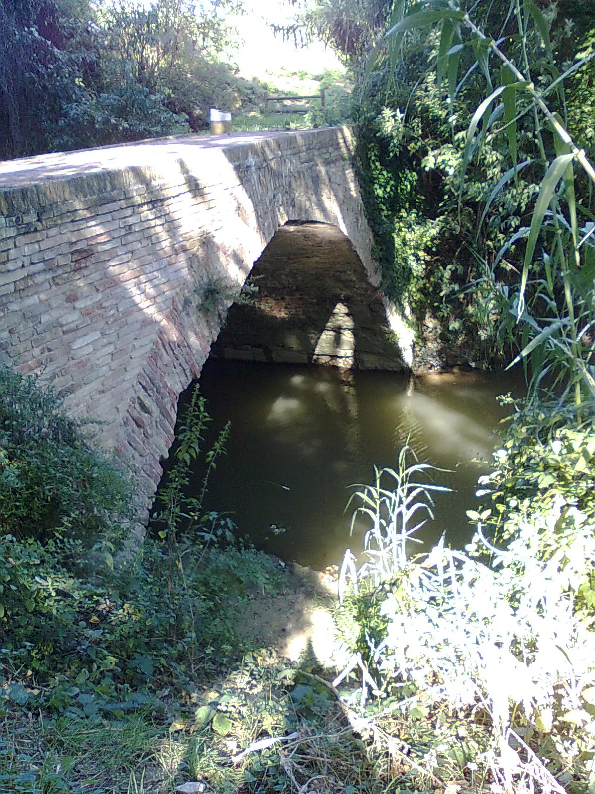 Le pont en brique sur le Rio Melo à Riccione, avec l'arche reflétée dans l'eau et la végétation sur les rives