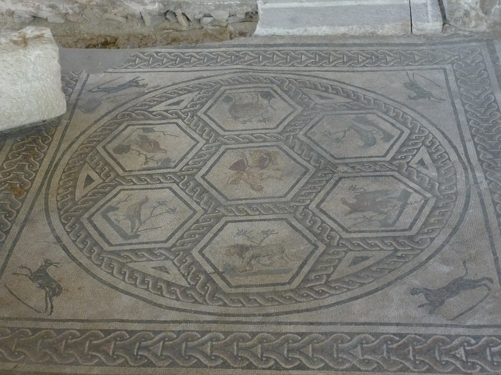 Un mosaico pavimentale romano con medaglioni esagonali e figure di animali, nell'area archeologica della Domus del Chirurgo
