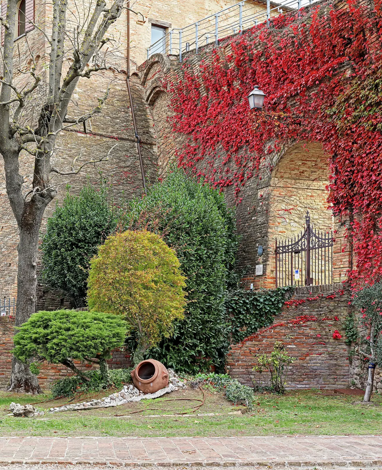 L'ingresso della Rocca di Bertinoro, con le mura coperte di vite americana rossa e il cancello sotto l'arco