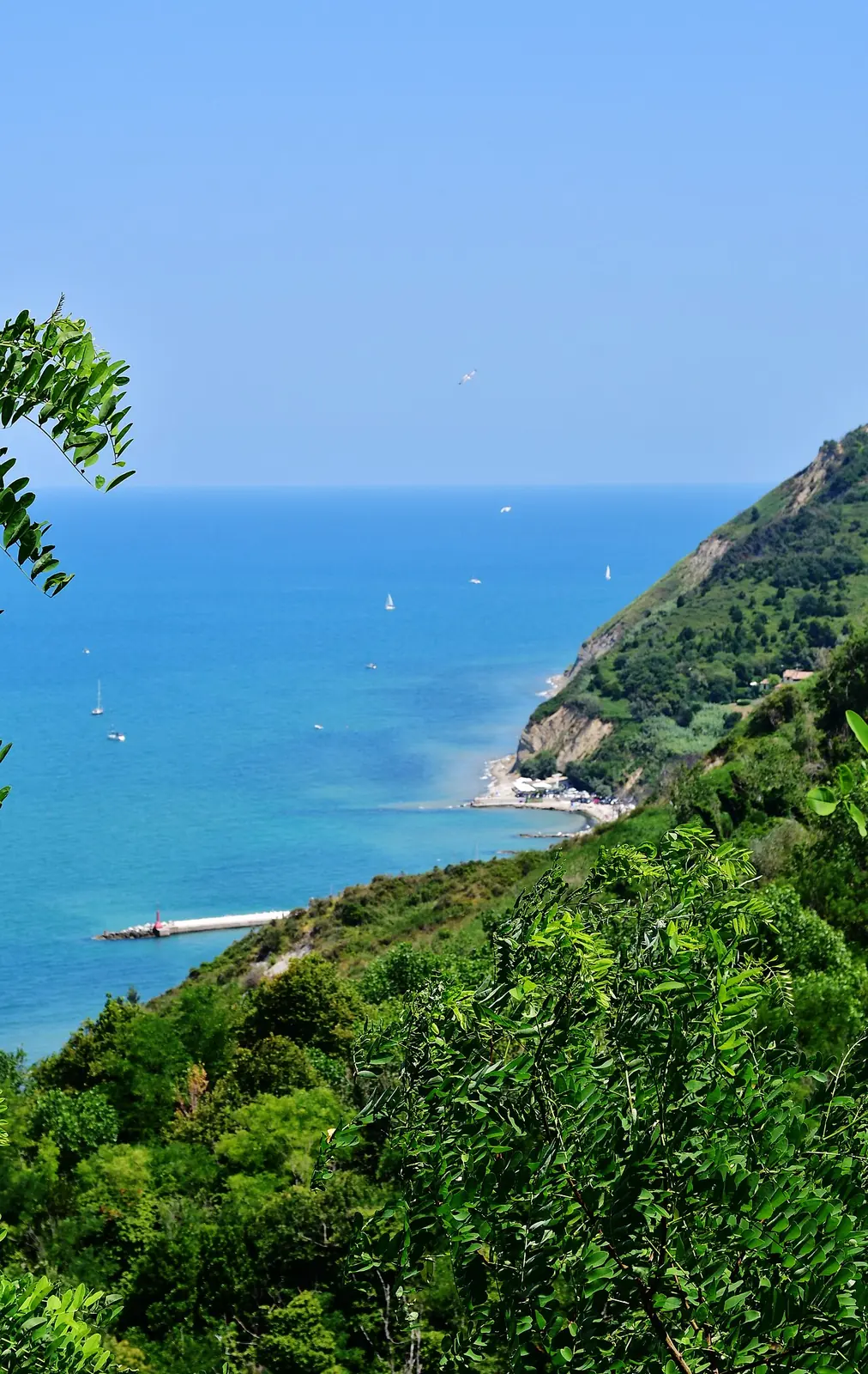 La costa alta del Monte San Bartolo coperta di vegetazione, con il mare azzurro, una piccola baia e un molo sullo sfondo