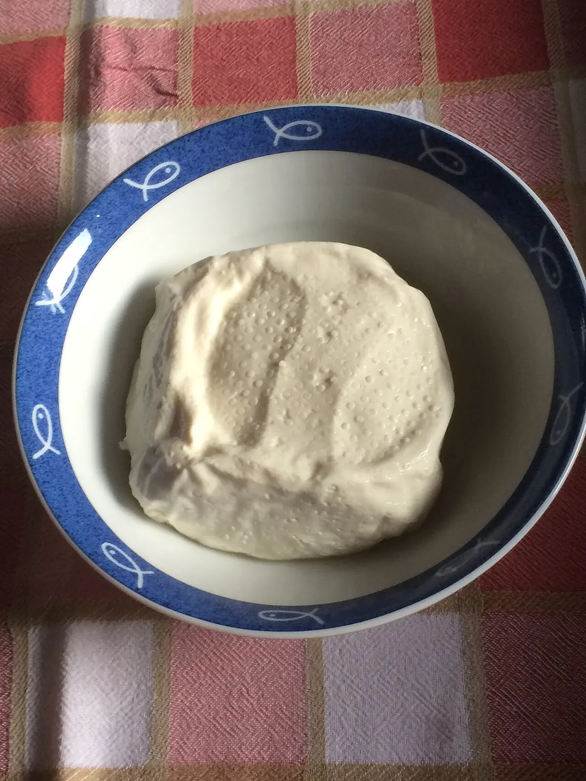 Ein Laib Squacquerone, der Frischkäse aus der Romagna, auf einem dunklen Teller