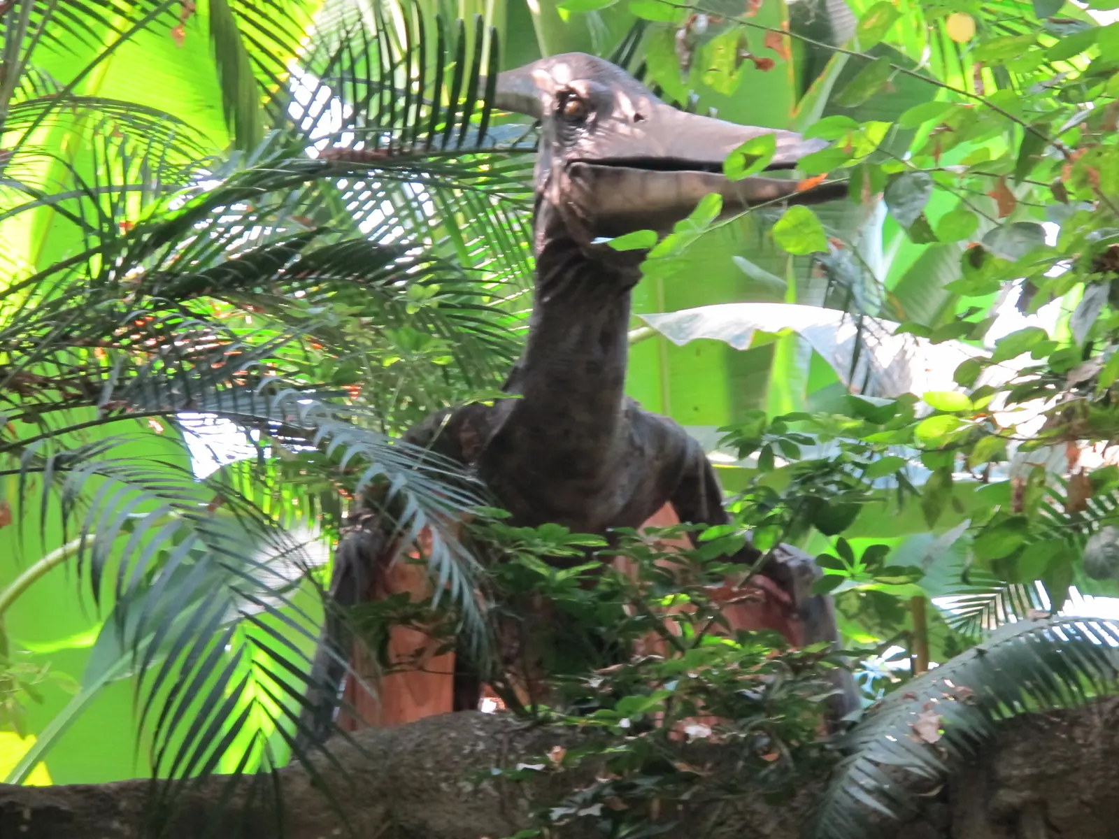 Il modello di uno pterosauro dal lungo becco fra le foglie di palma, nella serra tropicale di Oltremare