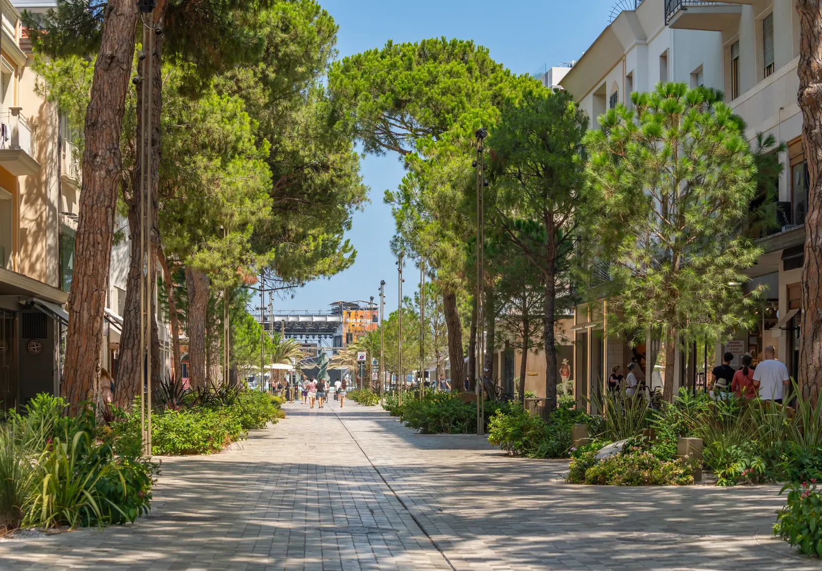 Viale Ceccarini fra i pini, con la pavimentazione in pietra, le aiuole e i negozi ai lati, verso piazzale Roma e il mare