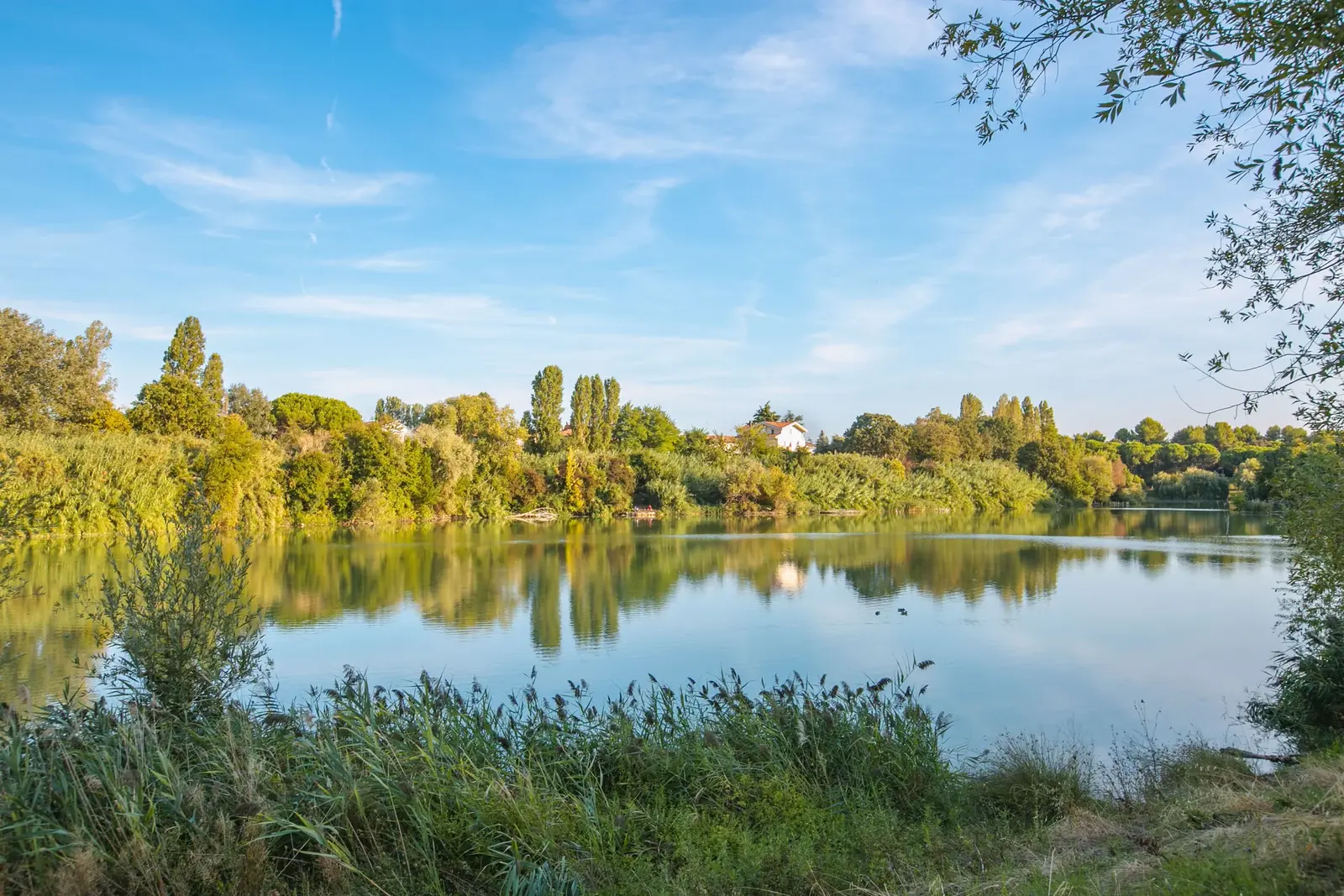 Il lago del parco della Cava a Rimini, con gli alberi riflessi nell'acqua e il canneto sulla riva