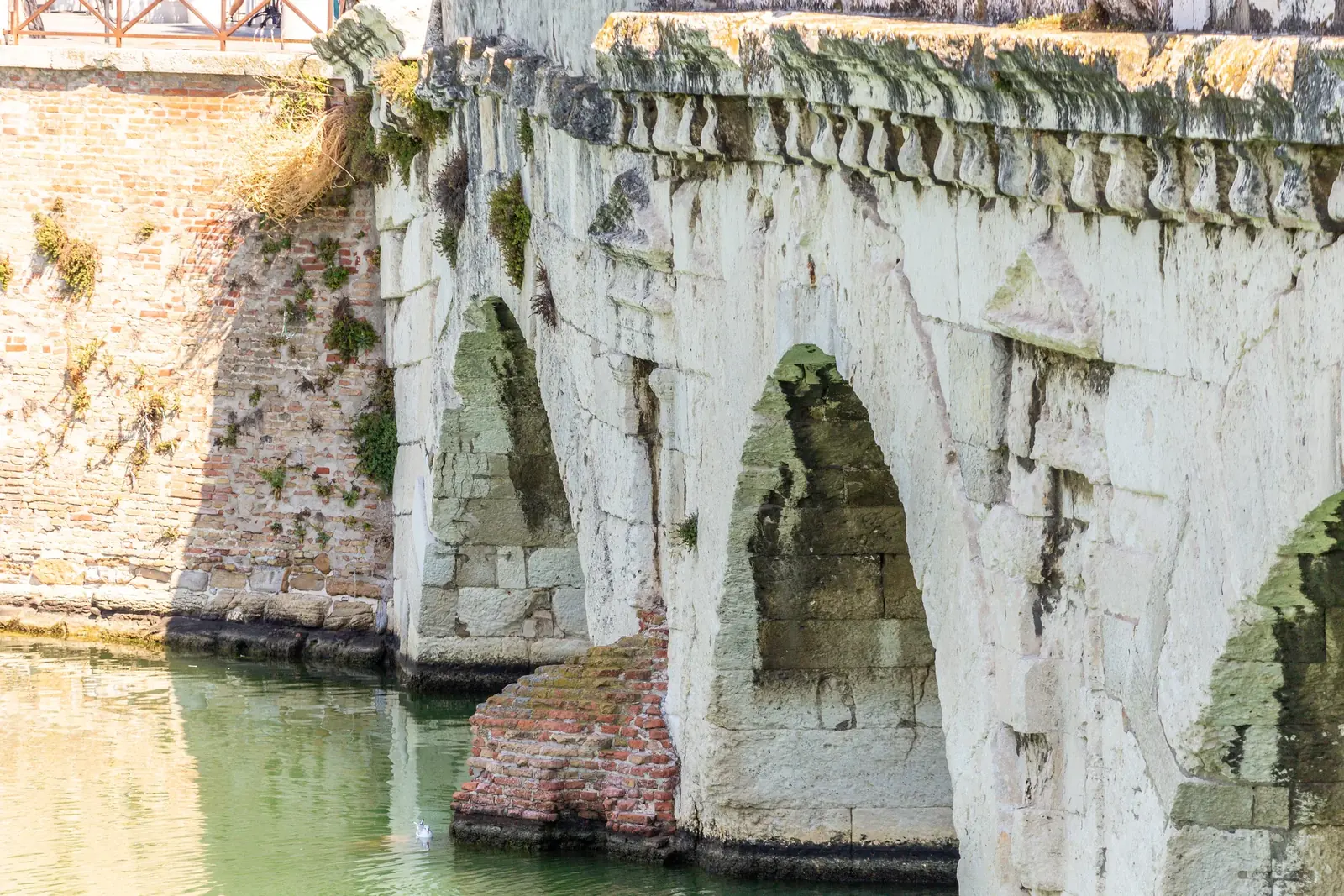 Le arcate in pietra d'Istria del Ponte di Tiberio viste da vicino, sopra l'acqua verde dell'invaso