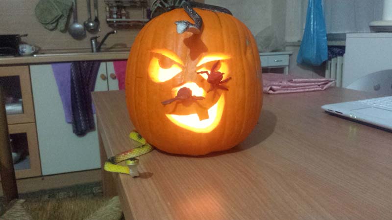 Zucca di halloween