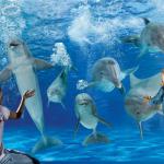 Bambini con i delfini a Oltremare di Riccione