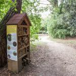 percorso educativo nella casa degli insetti