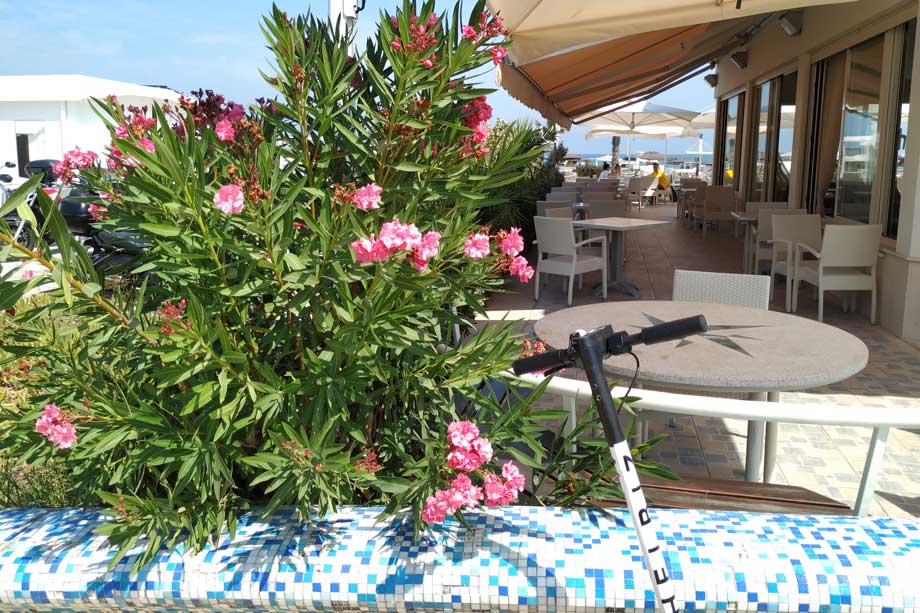 Cosa fare a Misano Adriatico? Visitare Misano, idee, spiagge, itinerari