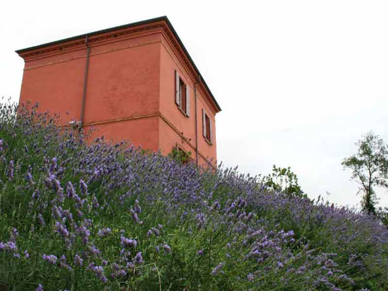 La Casa Rossa di Alfredo Panzini, Bellaria